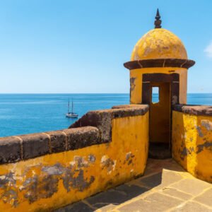 Full day Funchal: Old town, cable car & monte